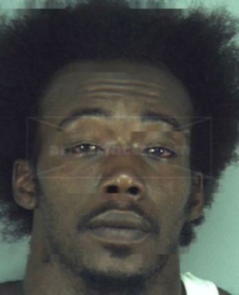 Brian James Freeman
