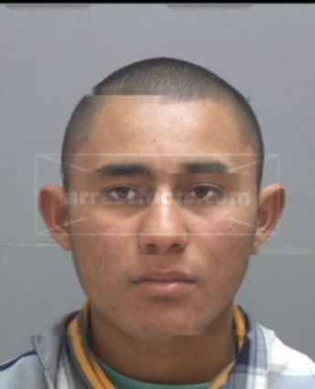 Vernave Medina
