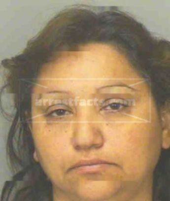 Helen Acosta Chaidez