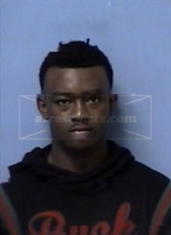 Dewun Fontia Moss
