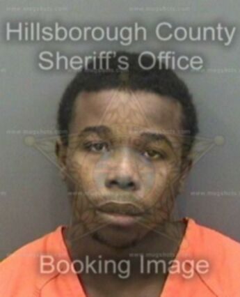 Henry Lee Price Jr.