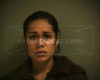 Mercedes Elizondo Berrones