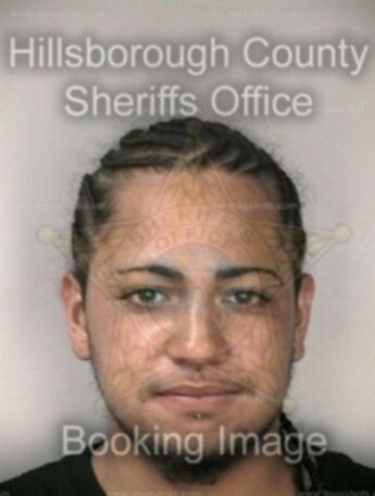 Michael Lee Roman