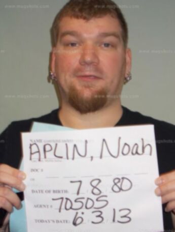 Noah P Aplin