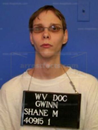 Shane Michael Gwinn