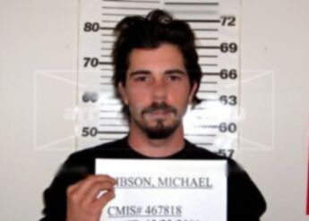 Michael Shawn Gibson