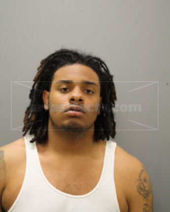 Marquise D Chamberlain