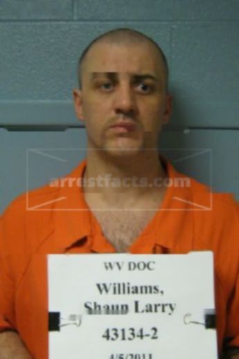Shaun L Williams