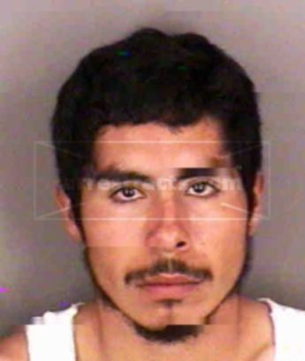 Martin Vazquez