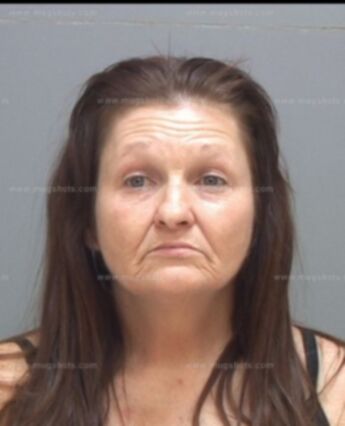 Ginny Ann Fenn