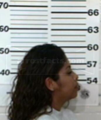 Anna Lisa Romo Ramirez