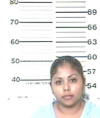 Anna Lisa Romo Ramirez