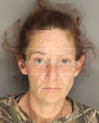 Brandy Michelle Fults