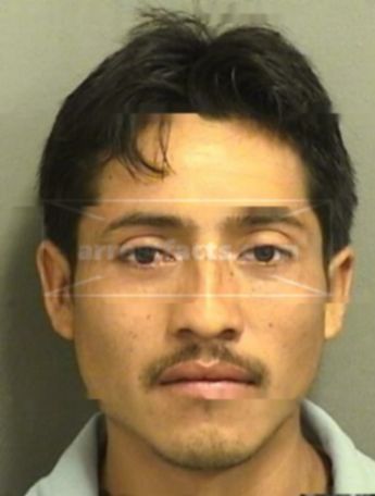Jose L Velasquez
