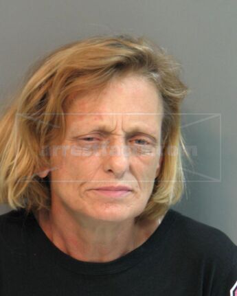 Teresa Sue Brumlow
