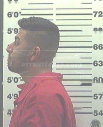 Alexis Alvardo