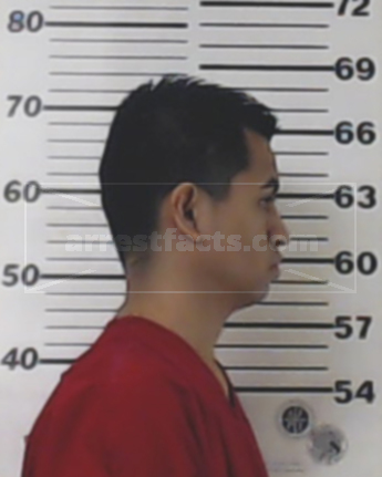 Marco A Guerrero-Mendoza