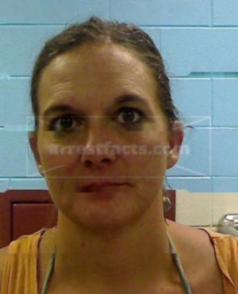 Candy Renee Hudgins