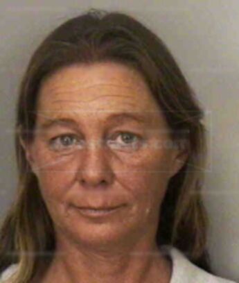 Susan Stevens Delahoy