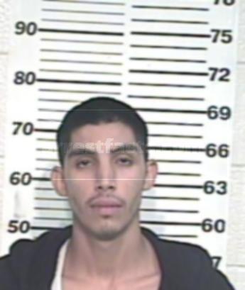 Ronnie Jimenez Ramirez