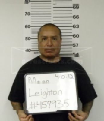 Leighton Lee Mann