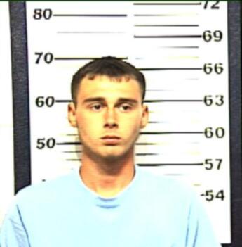 Matthew Blake Williamson