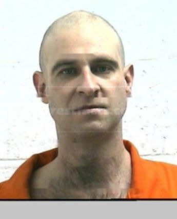 Brandon D Tolson