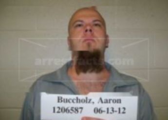 Aaron L Buchholz