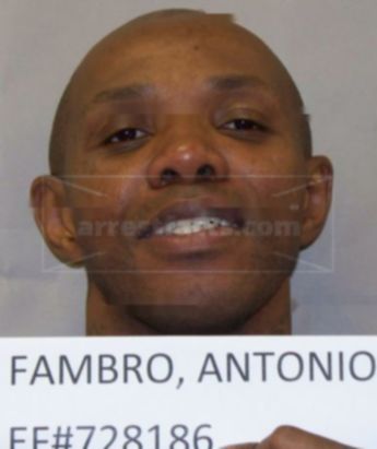 Antonio Fambro