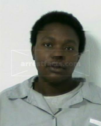 Shannon Michelle Shells
