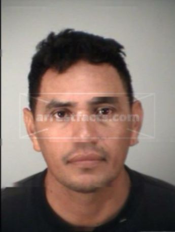 Nelson Hernandez