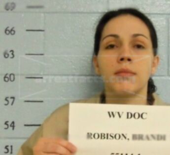 Brandi Nicole Robison