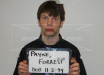 Forrest C Payne