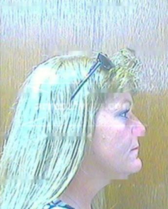 Shannon J Evans