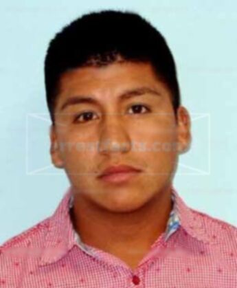 Xolo R Lopez