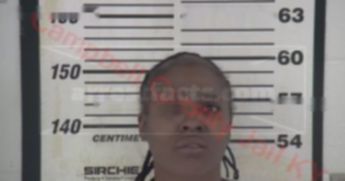 Danisha Ronika Shannon