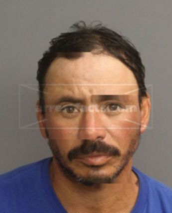 Aponte Elias