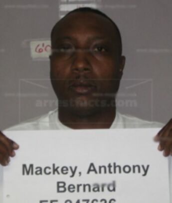 Anthony Bernard Mackey