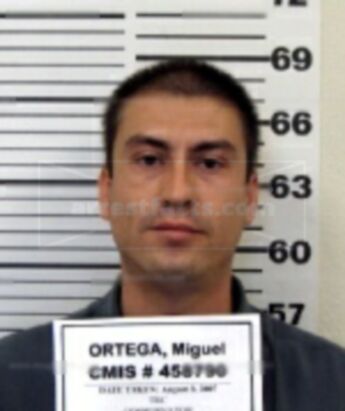 Miguel D Ortega