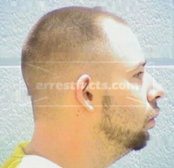 Brandon Steffen