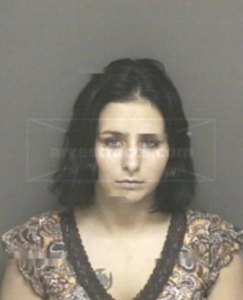 Robin Ann Adams