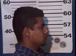Miguel Angel Palacios Martinez