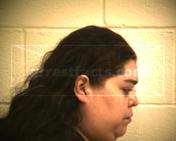 Melissa Ann Noriega Trevino
