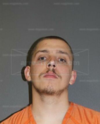 Tyler M Salzman