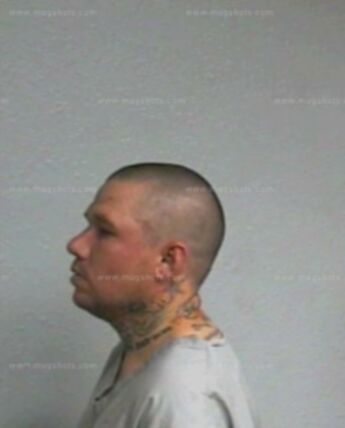 Matthew B Vogt