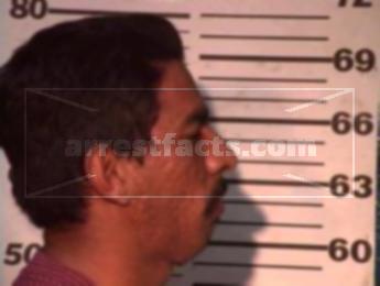 Manuel Sotelo Vega
