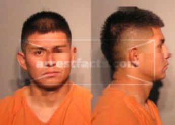 Luis Alexis Maldonado-Diaz