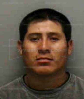 Alex Lux Lopez