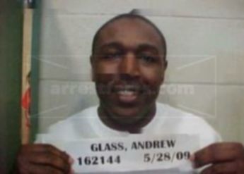Andrew L Glass
