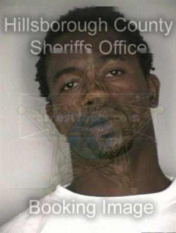 Terrence D Williams